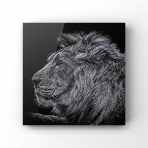 FrancoisLePortPhotographyFinition - 1