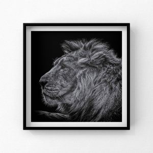 FrancoisLePortPhotographyFinition - 4