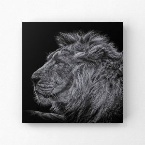 FrancoisLePortPhotographyFinition - 5